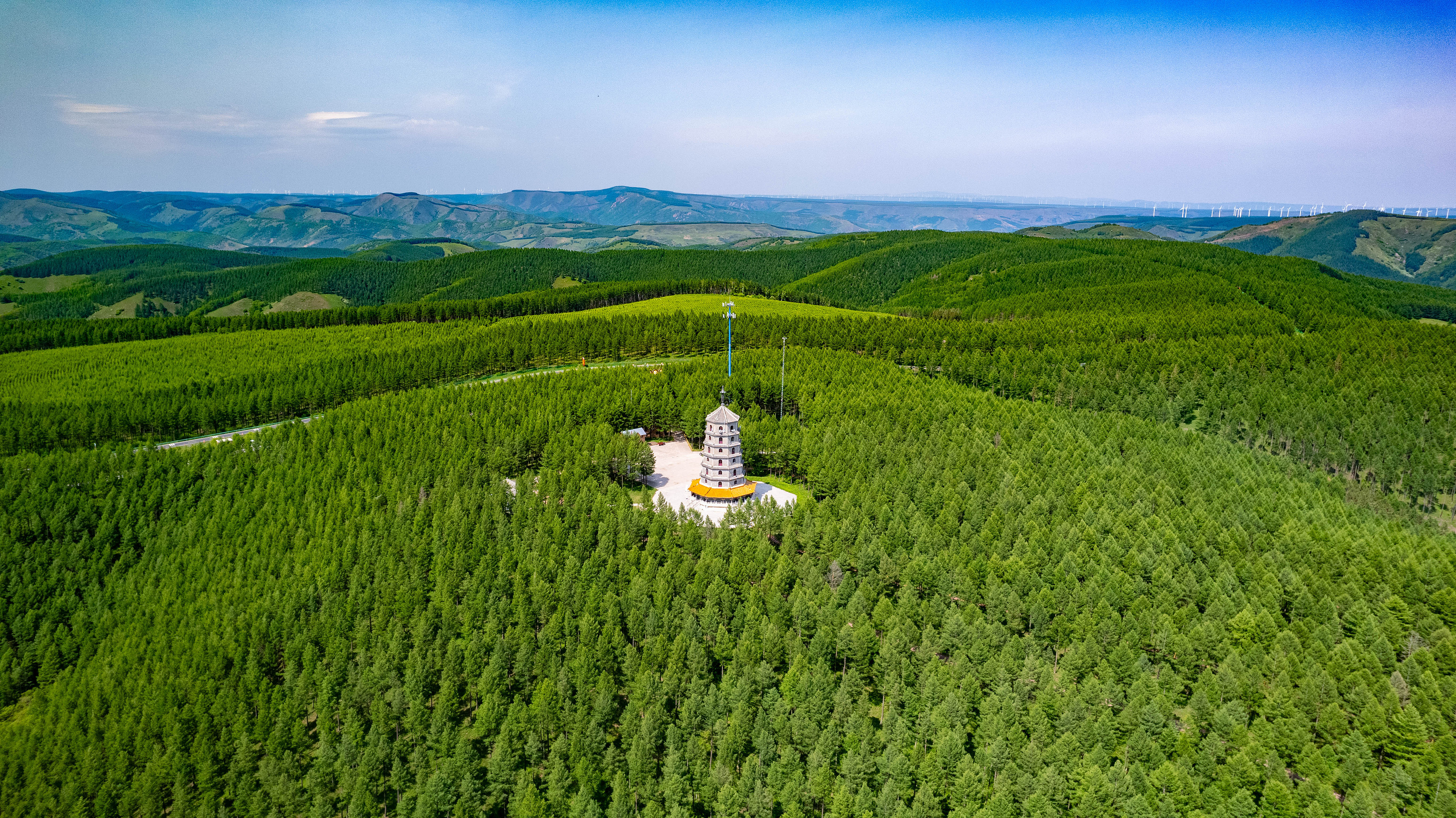 2025年6月11日，河北承德，塞罕坝林海浩渺。