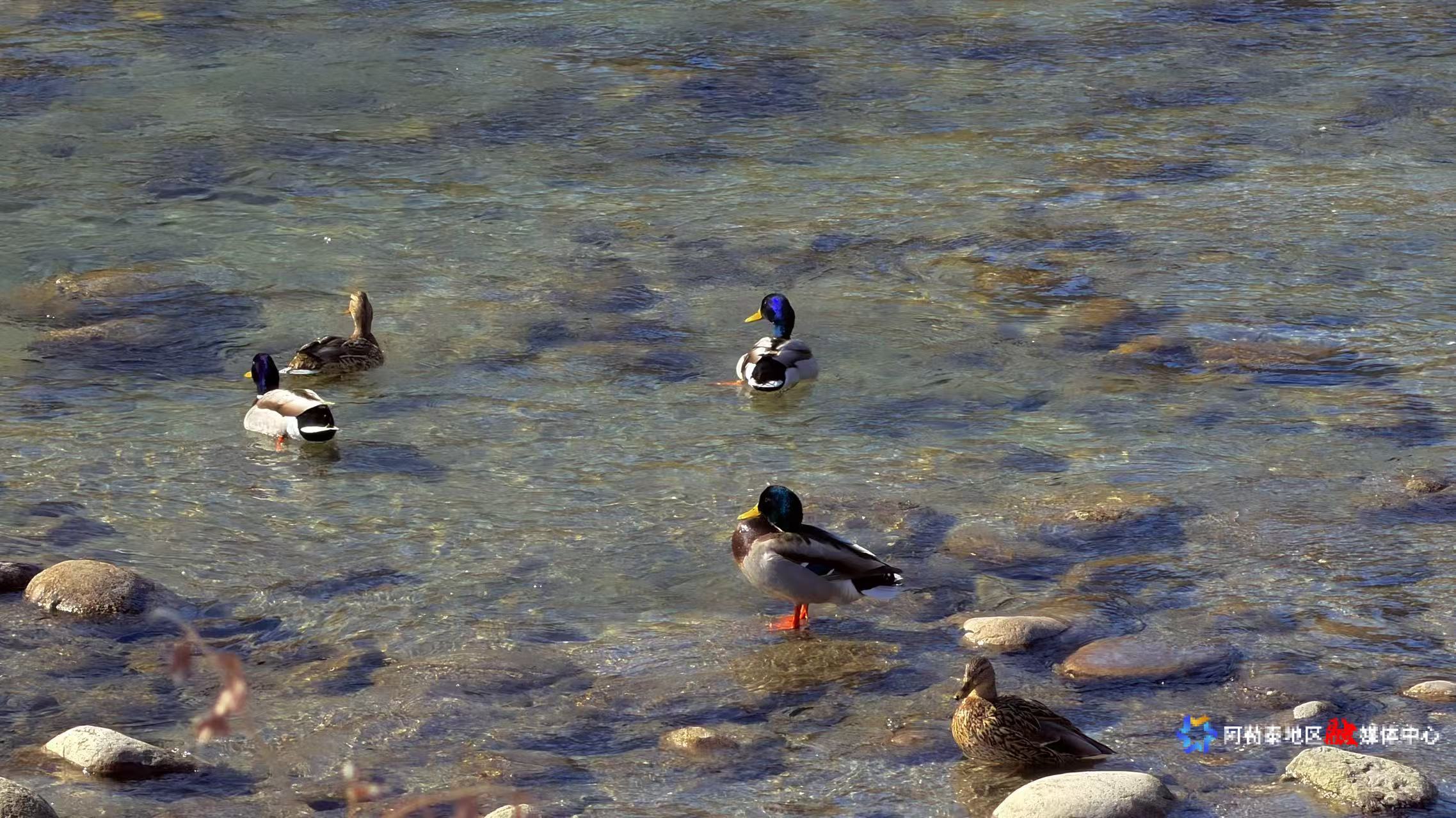 mmexport1773564976428