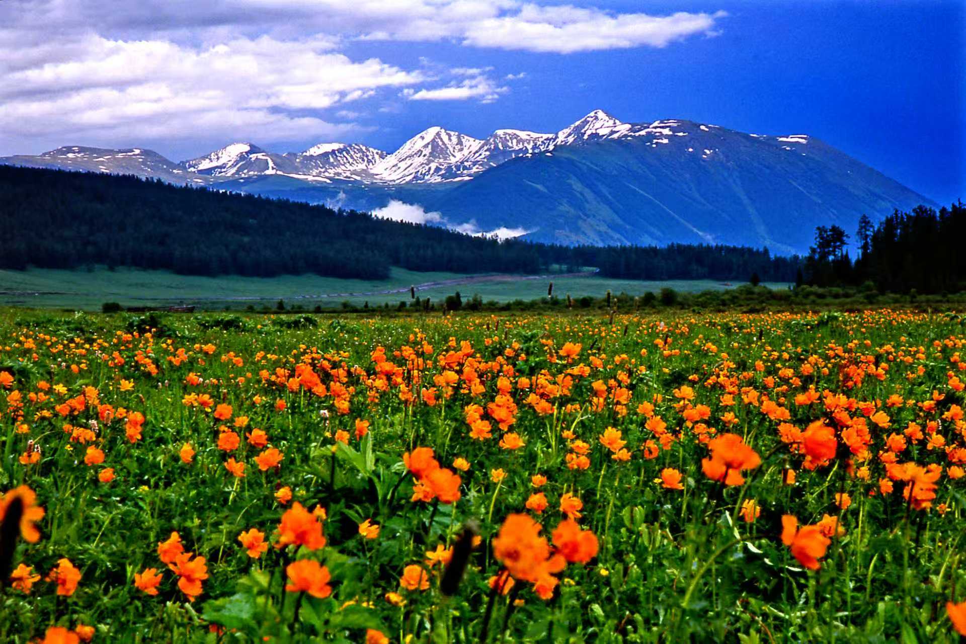 mmexport1780461587765